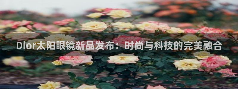 新宝5登录入口网址