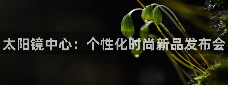 新宝5下载测试