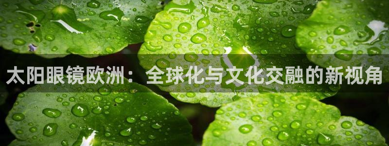 新宝5在哪里