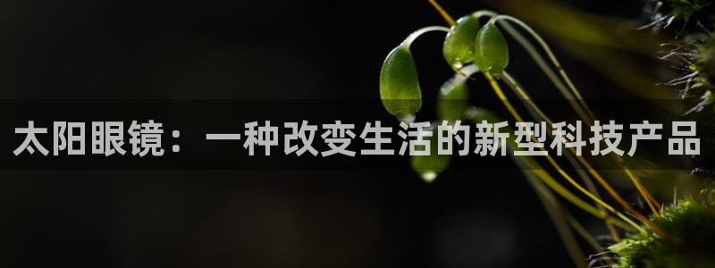 新宝5源码