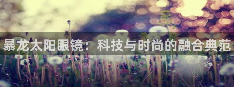 新宝5网站