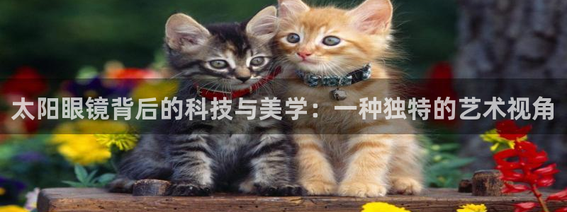新宝5授权