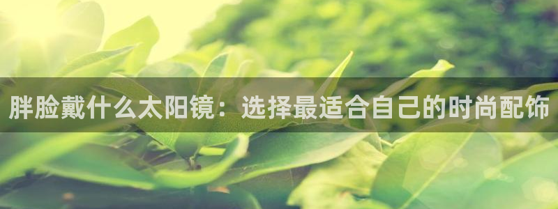 新宝5是什么样子的