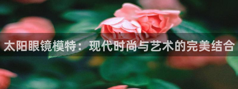 新宝5娱乐然