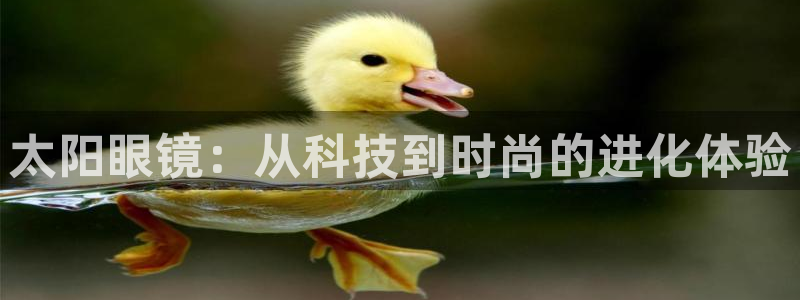 新宝5娱乐同