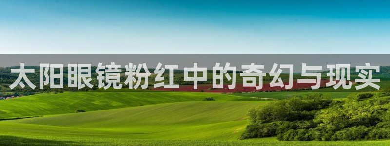 新宝娱乐5入口