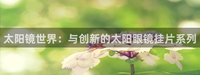 新宝5网站
