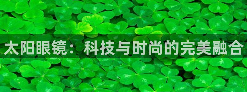 新宝5 代理