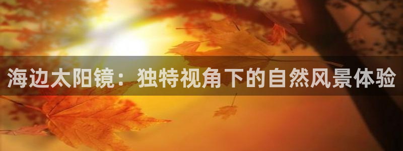 新宝5彩票娱乐平台