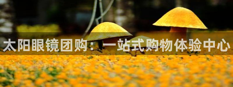 新宝5系列
