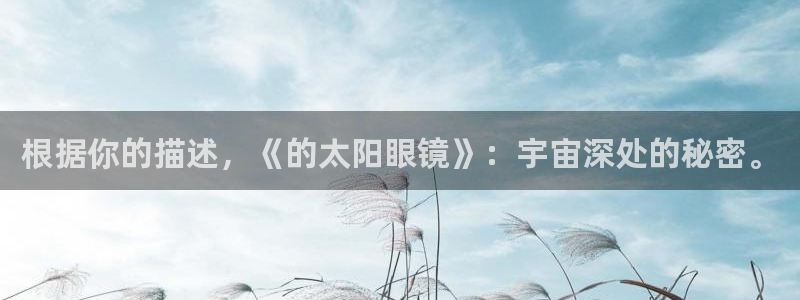 新宝5是谁的