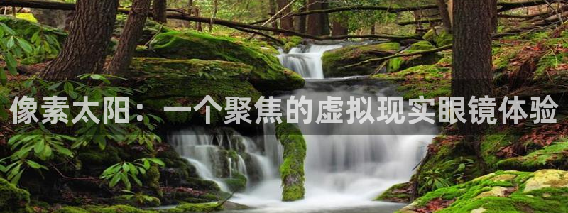 新宝股东张听2 5 5