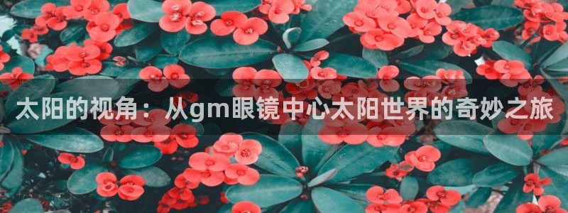 新宝5平台