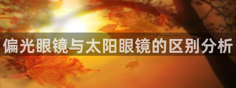 新宝股东瞧听2 5 5