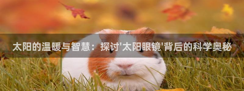 新宝5官方下载地址