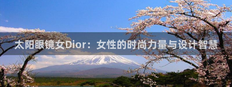 新宝5下载软件