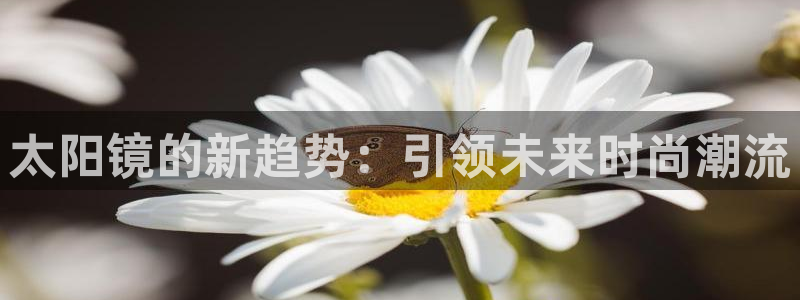新宝5娱乐经