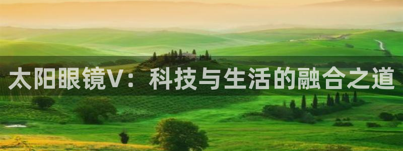 新宝5是什么样子的