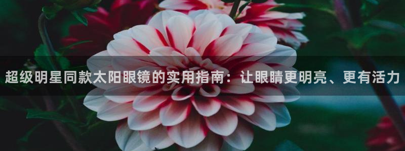 新宝5官网