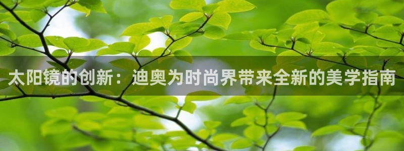 新宝5娱乐经