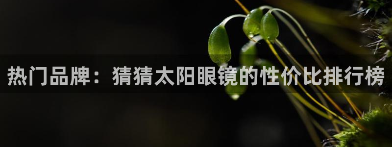 新宝5系列