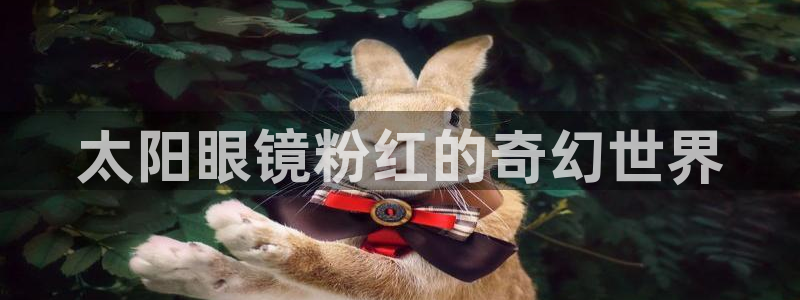 新宝5官网霸
