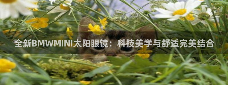 新宝5官网67五壹叁八