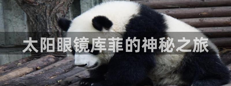 新宝5客户端登录