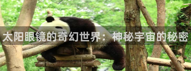 新宝5登录测速中心