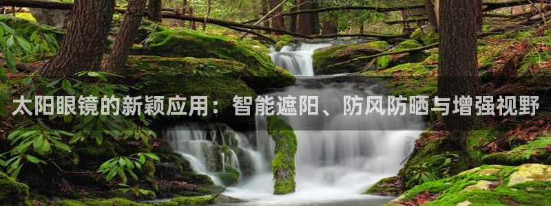 新宝5是什么样子的