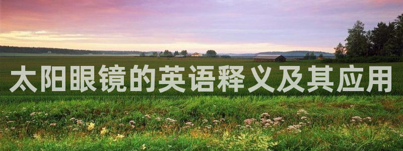 新宝6霸哥5