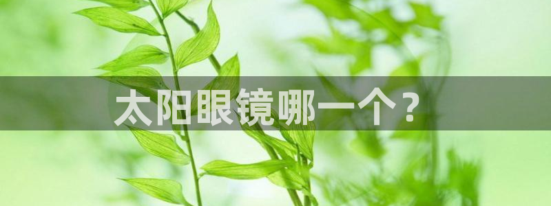 新宝5平台注册资金
