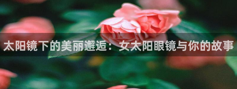 新宝5下载到桌面